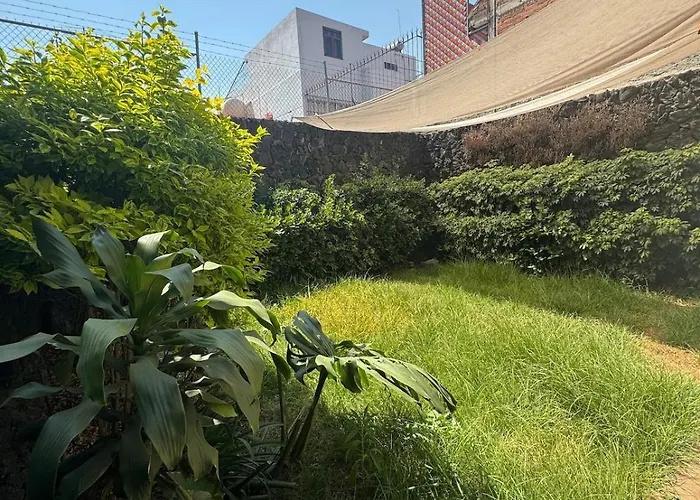 Casa Xochimilco Apartment